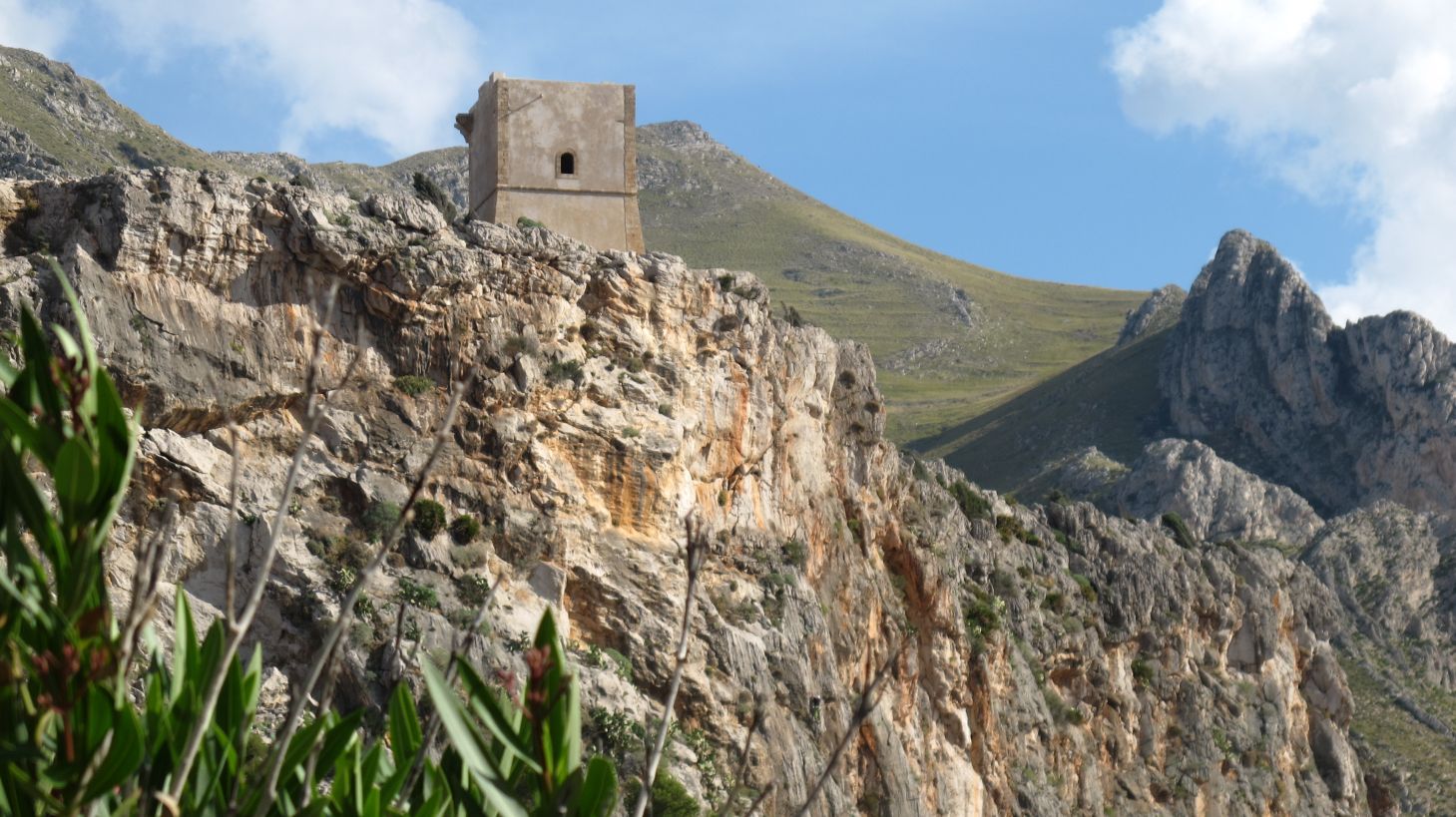 4645 sanvito