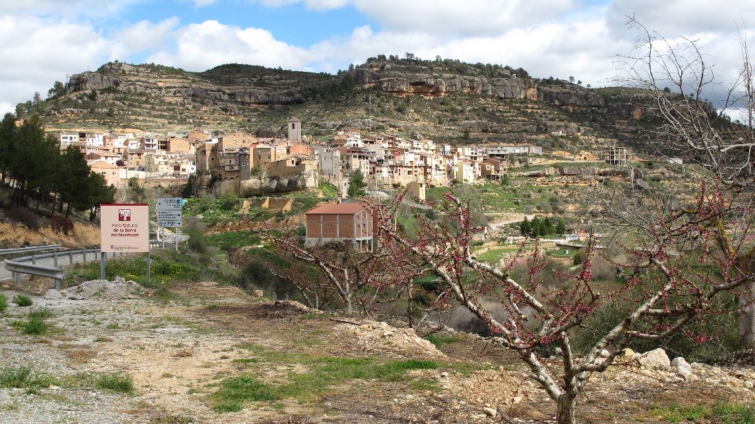 2824 margalef